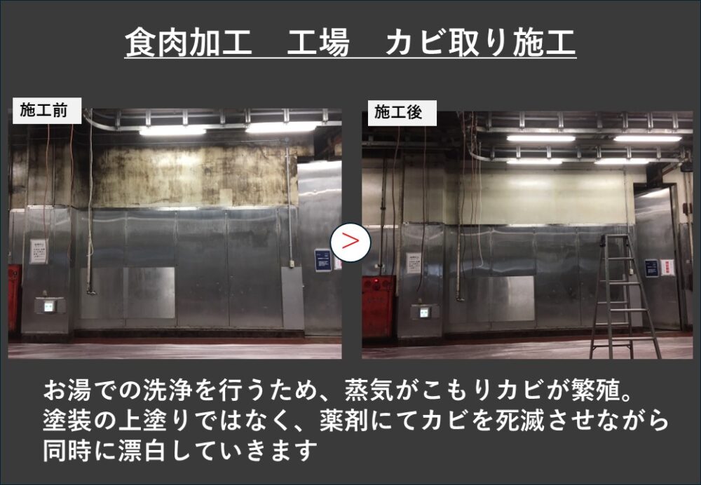 食品工場 カビ取り施工例 製造現場 ⑤