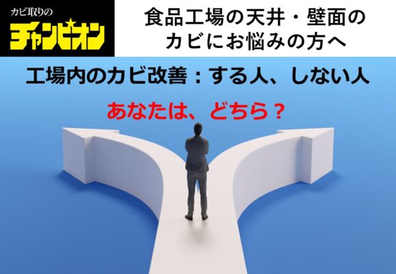 株式会社ビッグホワイ