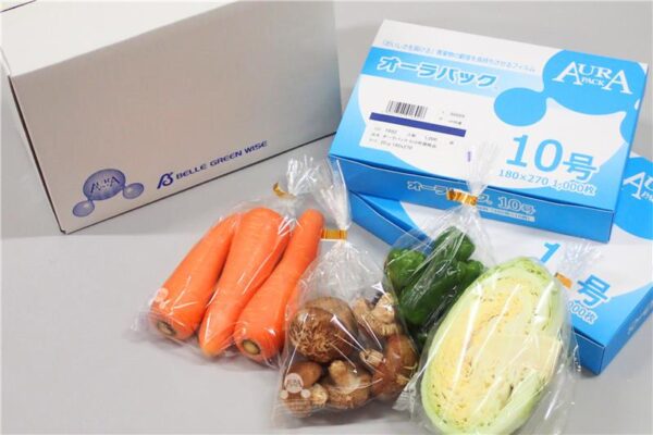 株式会社ベルグリーンワイズ