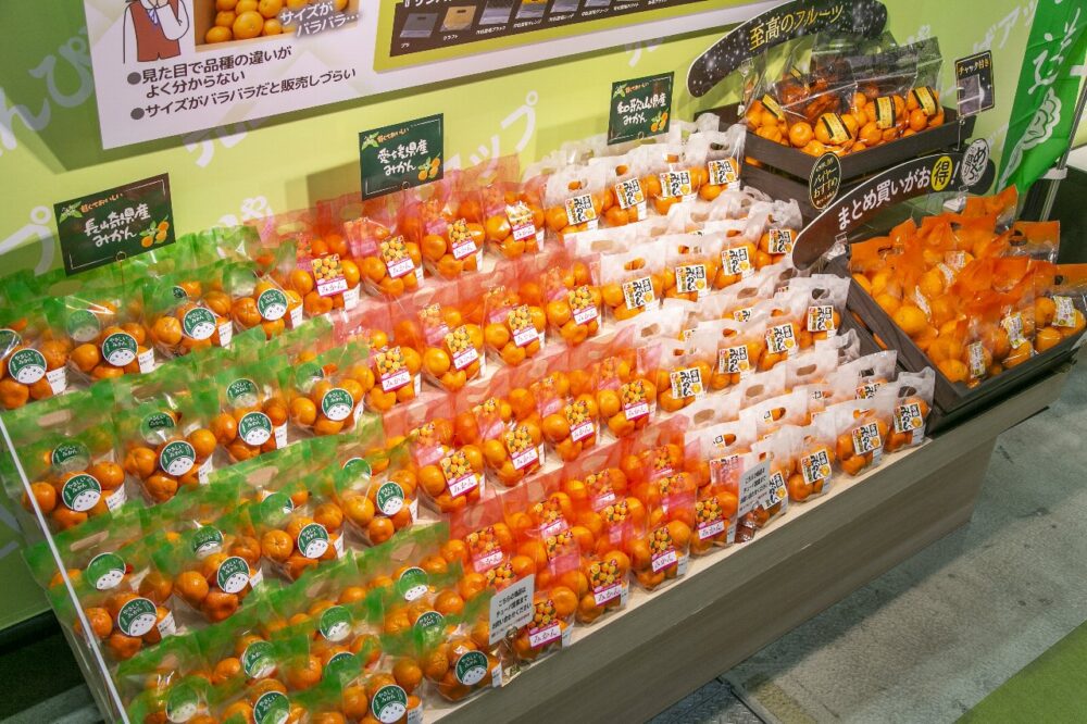 サンバッグ