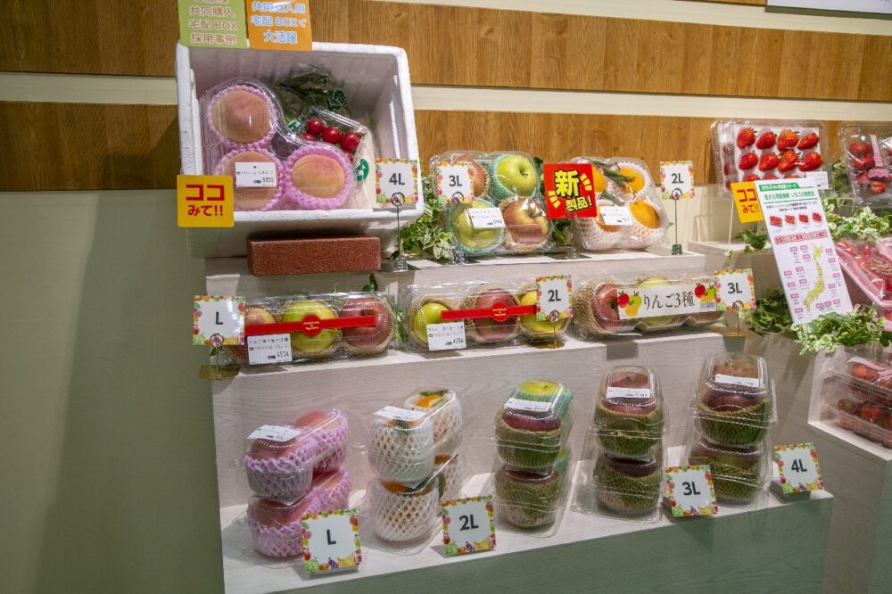 薄肉化製品