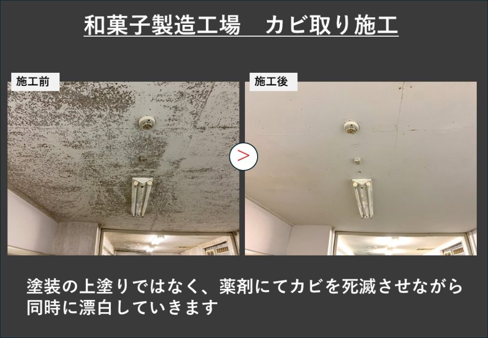 食品工場 カビ取り施工例 製造現場 ③