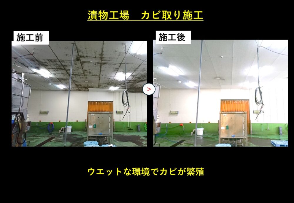漬物工場　カビ取り施工