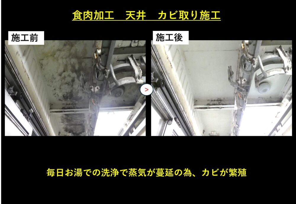 食肉工場　カビ取り施工