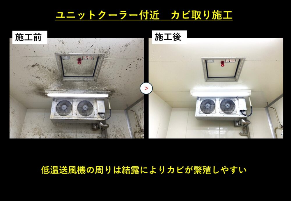 ユニットクーラー付近のカビ除去