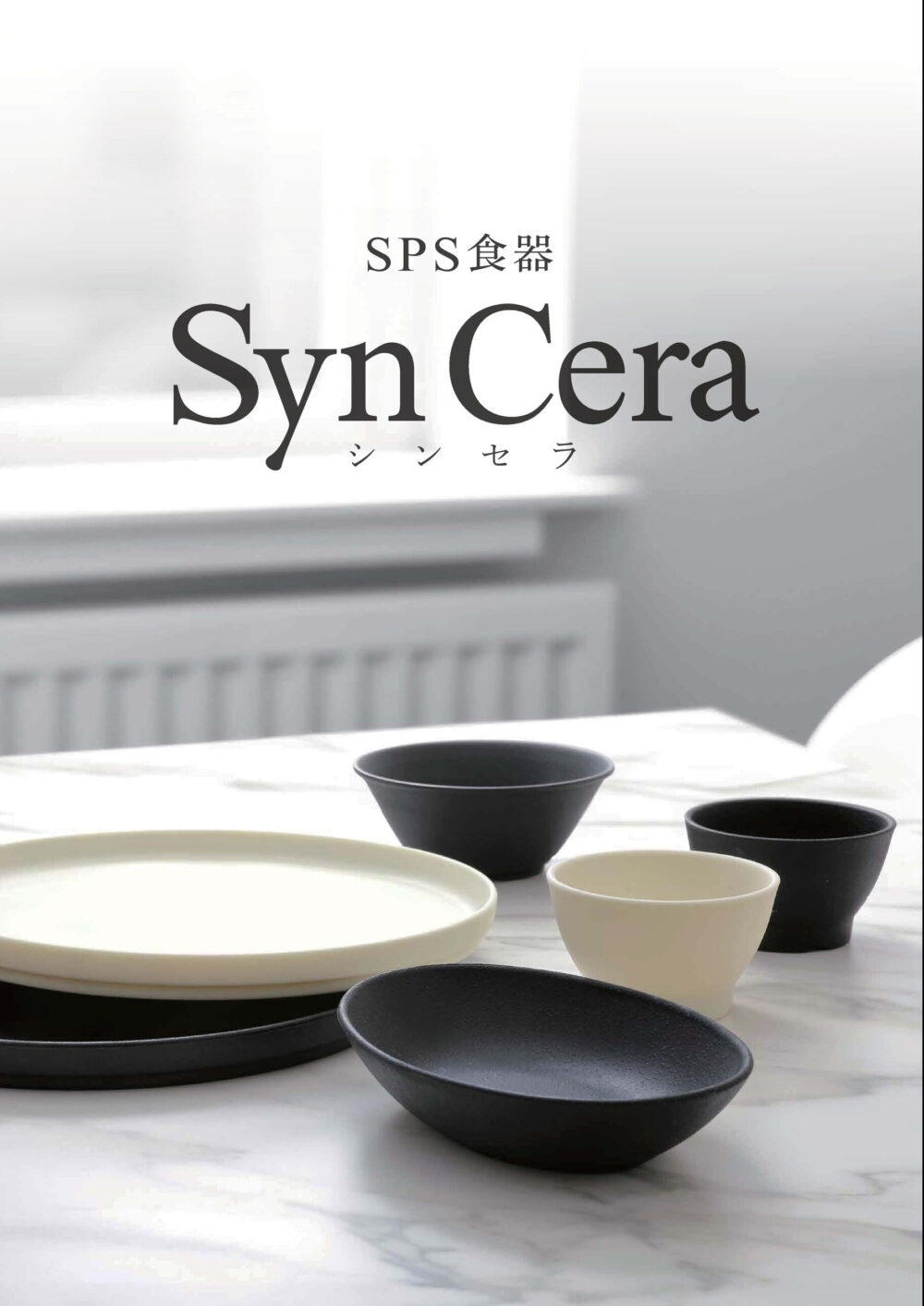 SPS食器　Syn Cera